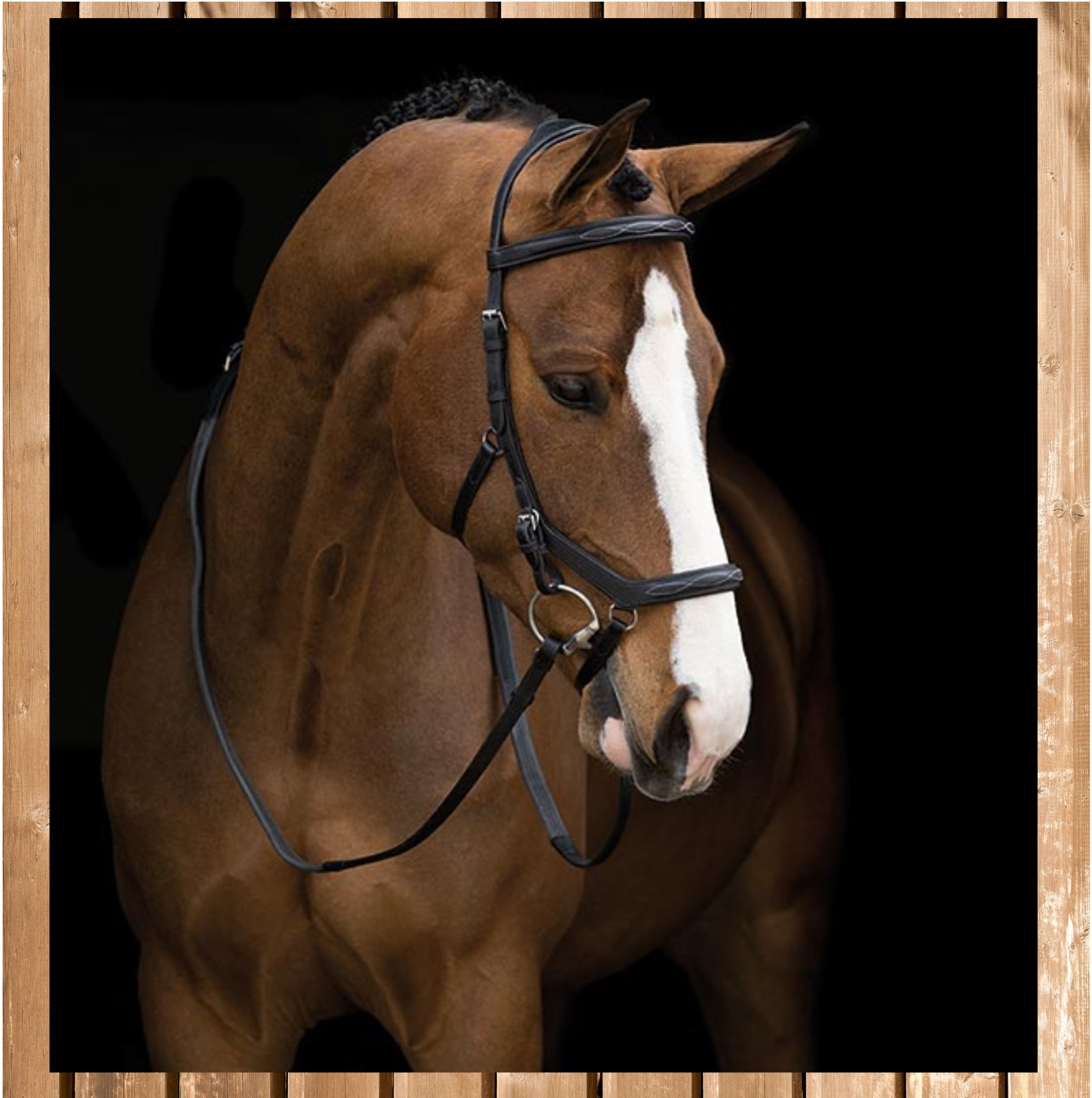 Rambo Micklem Deluxe Competition Bridle, havanna